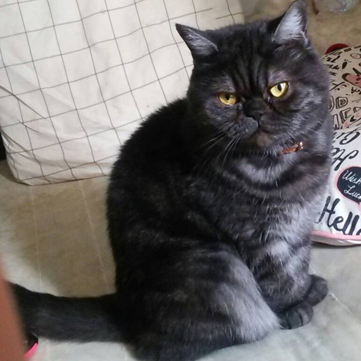 9578ac0c 332b 427a a133 fcebb40065e9