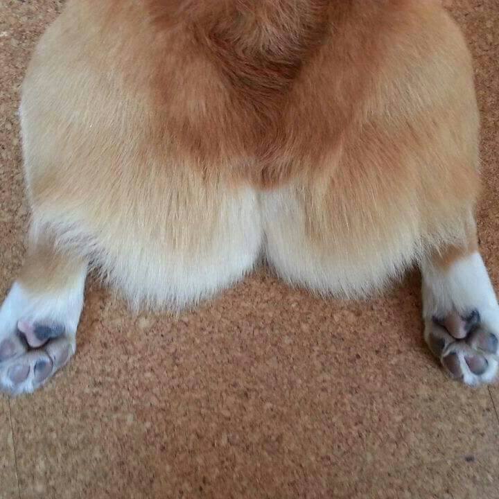 9578af10 6509 4ad9 bb63 b16786c9d420