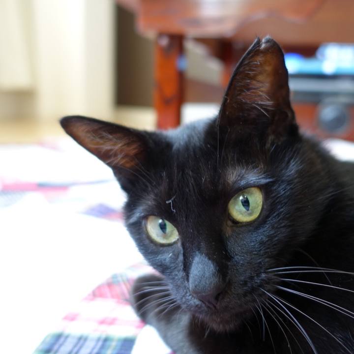 9579c960 bb98 4e89 957a 5a027e22b465