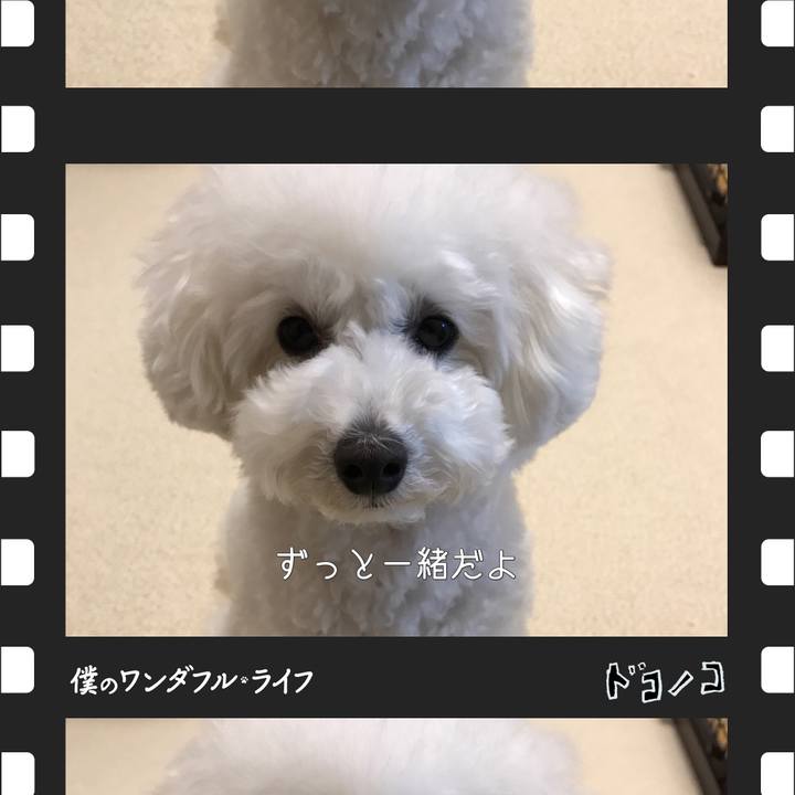 9579cf38 9d26 42b9 baa3 b6215c2011d8