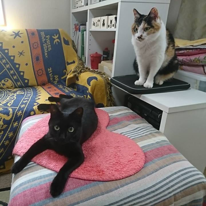 957a107a 99f8 4b2d 8a19 de791bc1807d