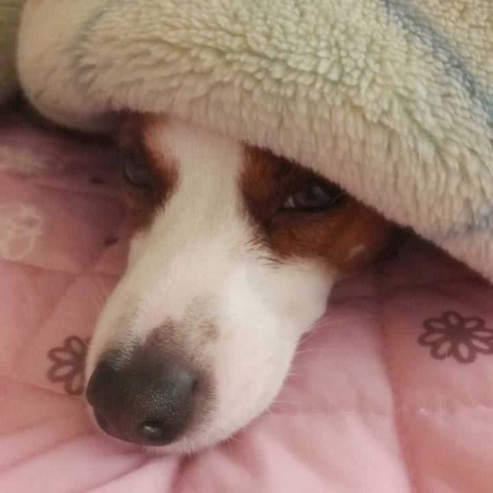 957abfd7 db49 4215 90fa 9fdacd00f92d