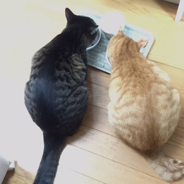 957b135c 387b 4f5c b114 612d9faf307f