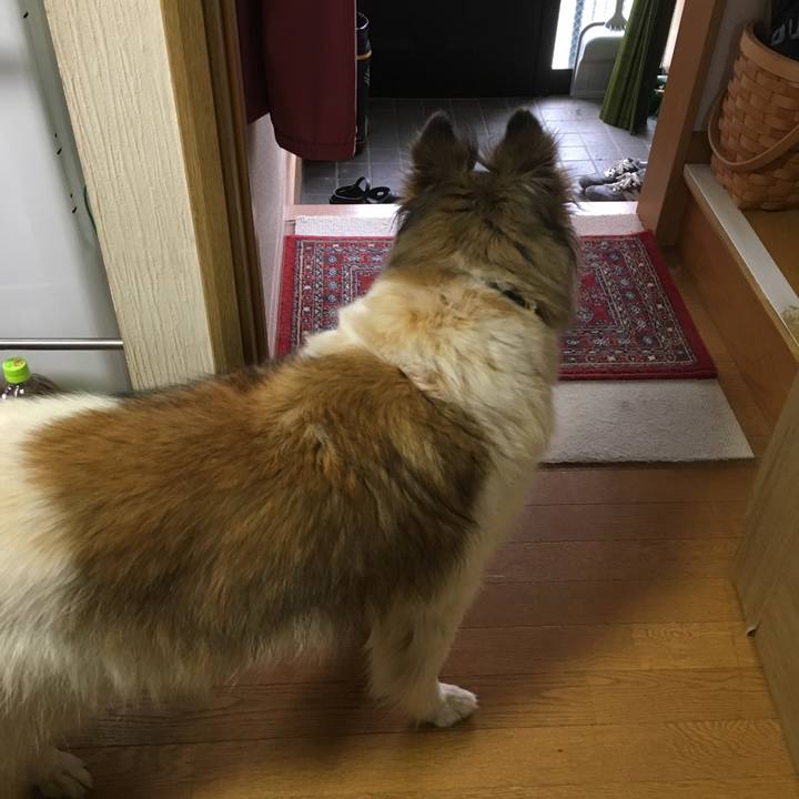 957b403e 579e 4b8b 829b 6d0a83560a68