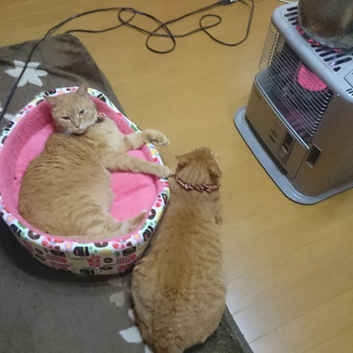 957c687e dea8 4286 a35b e98ce2dbaa02