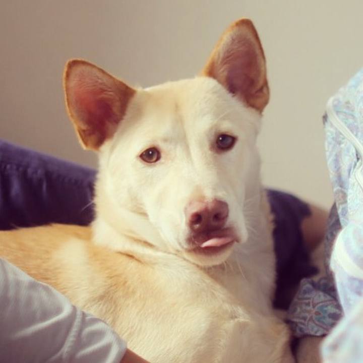 957cfa10 3a0e 4ac7 bce9 890b0240b4c1