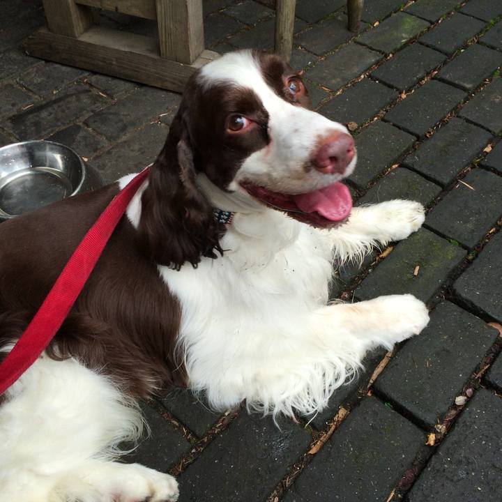 957d0a57 b8fa 41ae a998 4cda55579a81