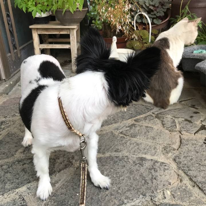 957dcb5f 9a91 4f8e a835 aa1e35184787