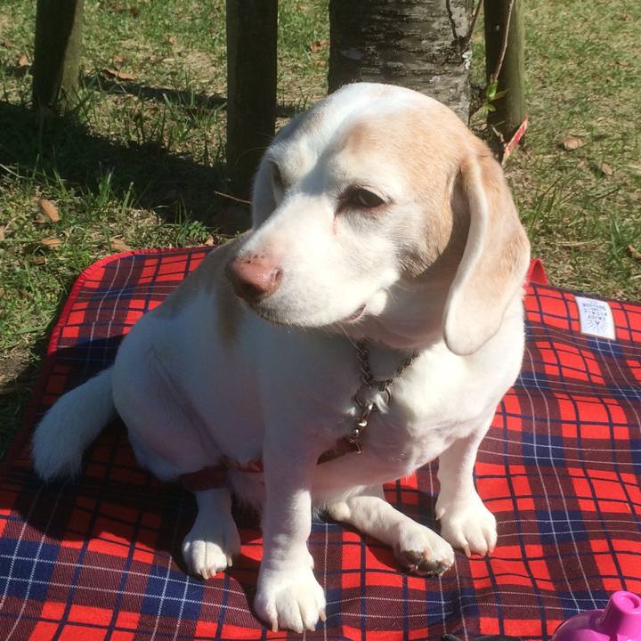 957dddf4 1c9d 4f2c 8a3b f4c7ba11326f