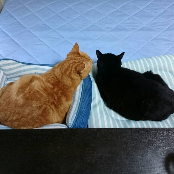 957e086e 09e8 4acc a7b1 2ae7d34ac27a