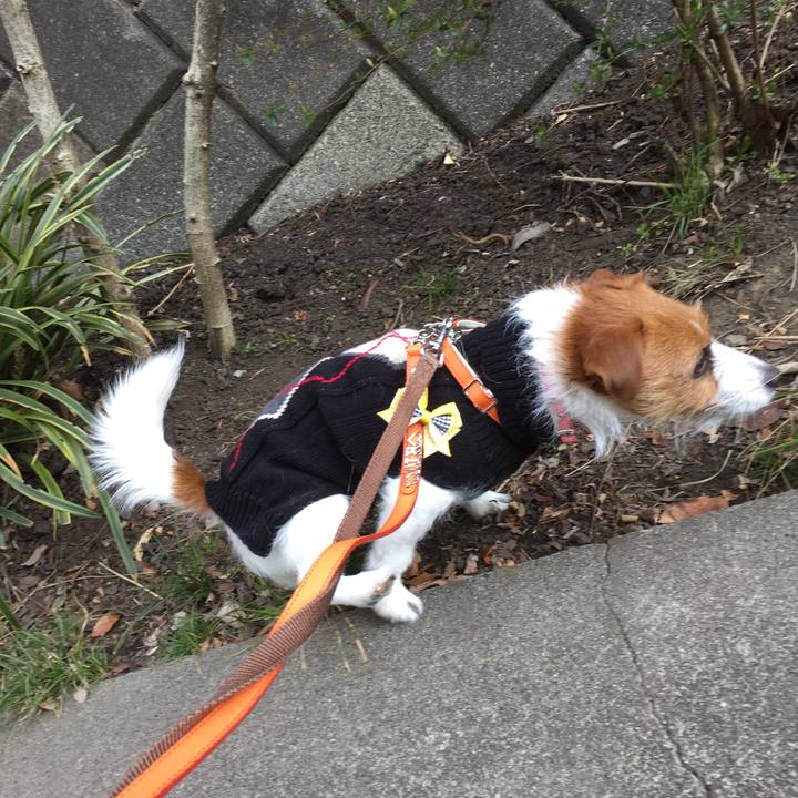 957e0a4b be7e 4377 8a32 05f43d85c757