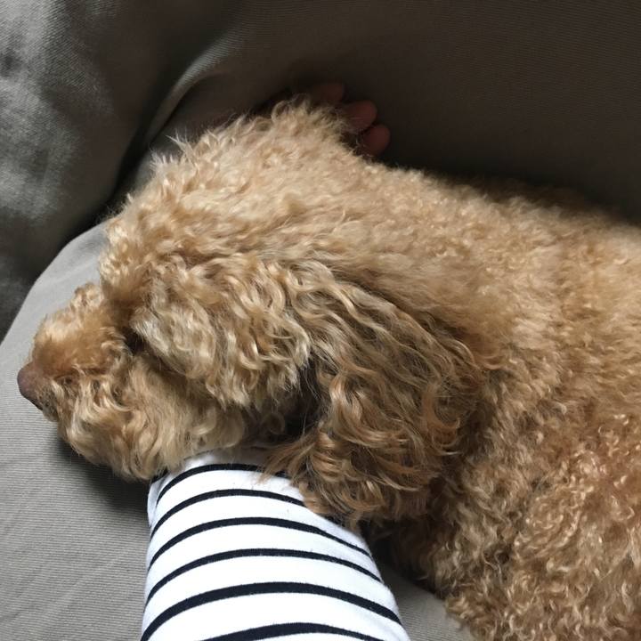 957e1987 cf85 42e8 87ad 75a9efe2567f