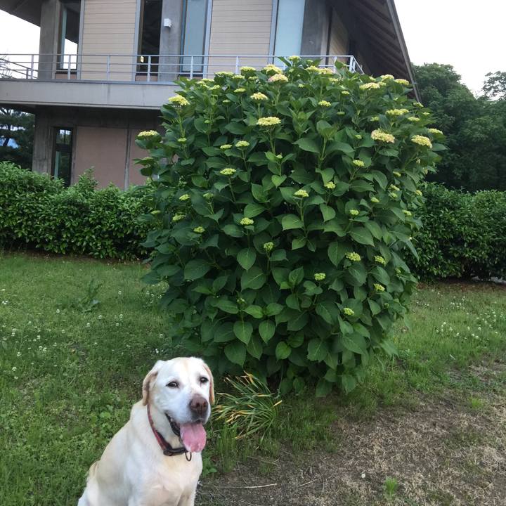 957e62bf b751 4209 8d6a 551b2ecae5a3