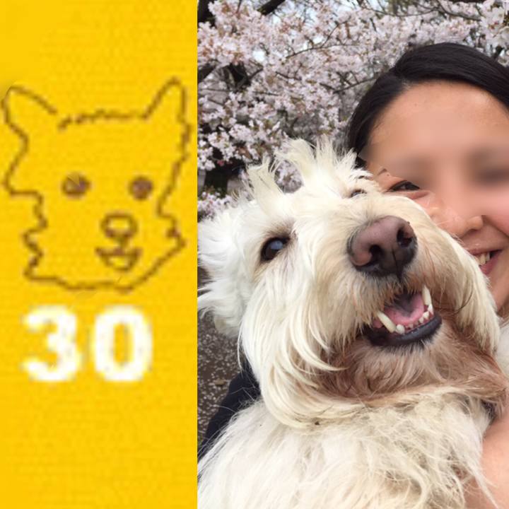 957ee6e2 d42d 4817 bf3c db3b764b13a9