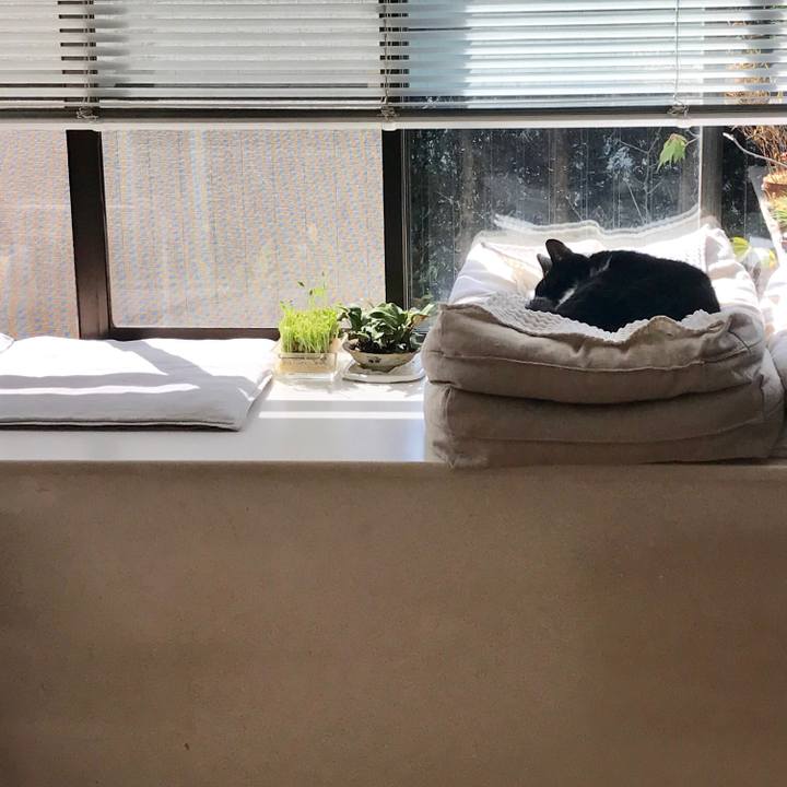 957f3ab5 2556 45a0 8780 3b931a655a7f