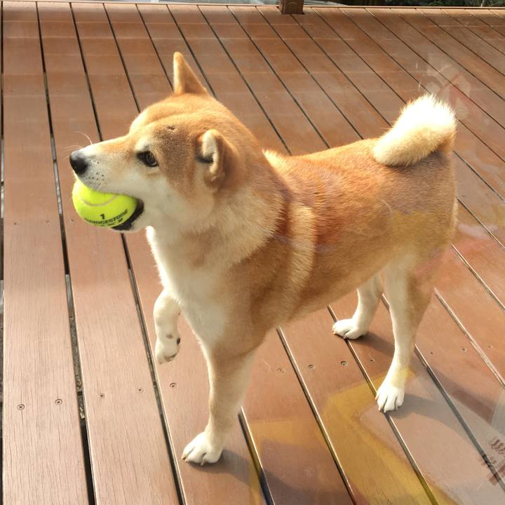 95801859 db3b 41a7 92cf db56bbbf2888