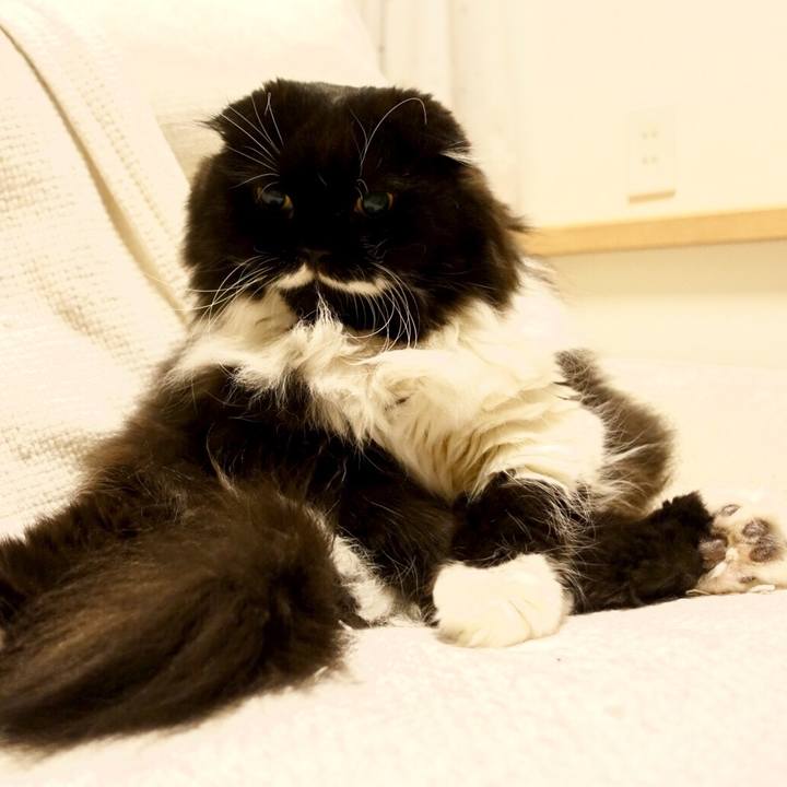 95802e58 7c8c 4737 b05e 992a5c108db6