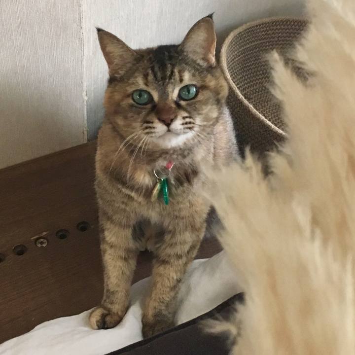 9580b1a4 0941 46b7 9562 3bb66f3f0e83