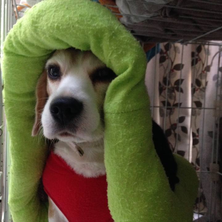 9580fa54 31eb 45e5 b27a 4250e821161d