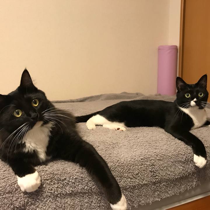 95811744 fbb8 4074 b88b 38bada98b0b6