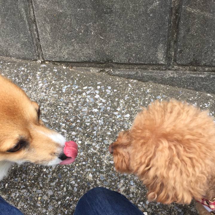 9581dd72 b228 4922 9ba4 7173d8699a46