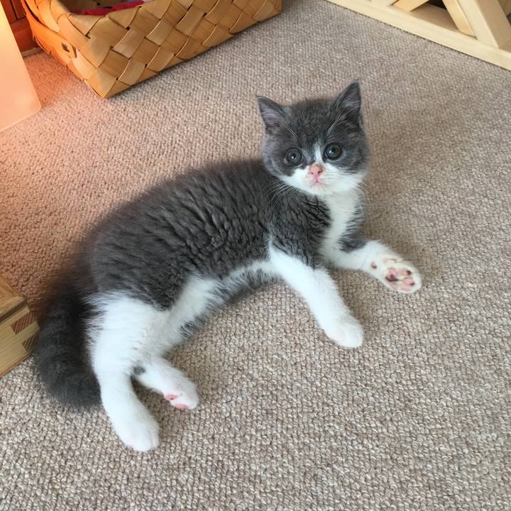 9581f31b 8335 4a45 82f5 f94673dabf75