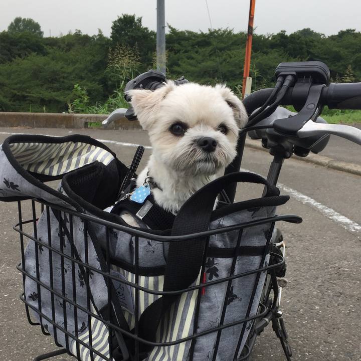 9581f5fe 5112 4121 ba13 b02ea61218ea