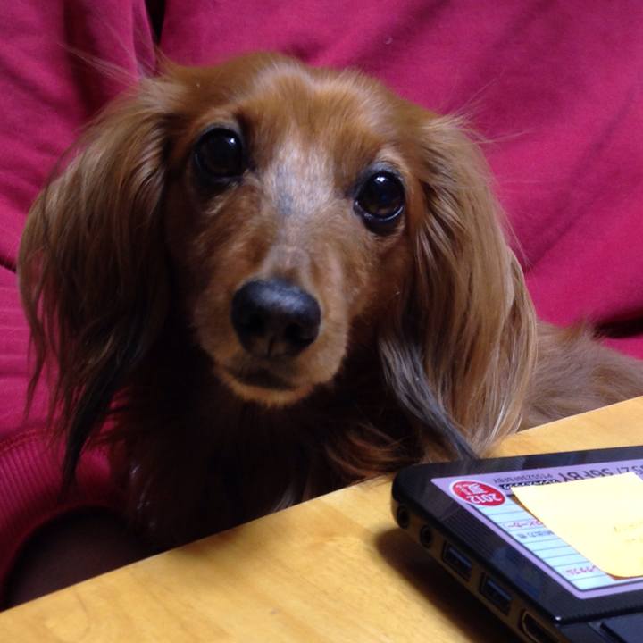 95820dd9 ef89 4b85 8caf aced5a78822e