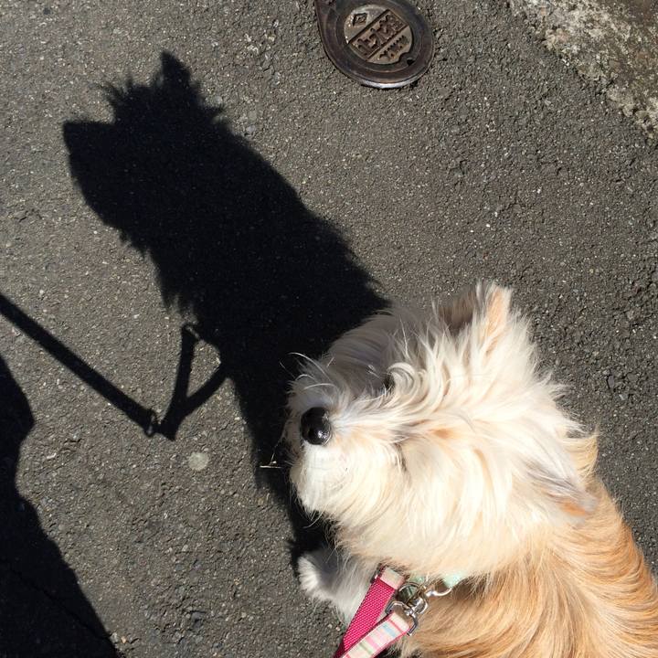 958267f7 d201 4454 8e83 3d3b8c404bec