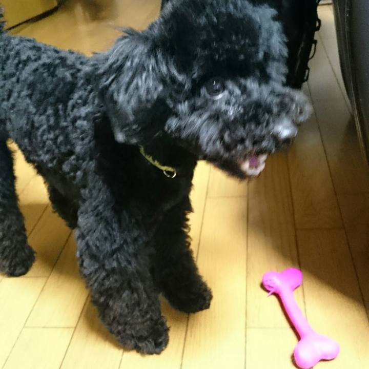 95831a01 9e5c 495d 8e91 904812909c75