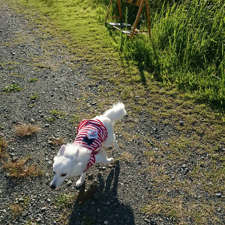 958350bc 416a 4ea1 8f16 d77d69b4d9b5