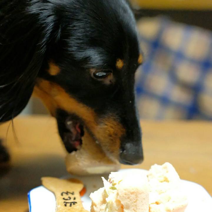 95838c92 59b3 4982 bce8 d3dc4454be4c