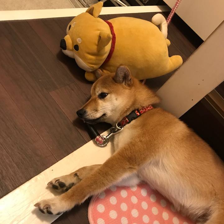 958392b8 9163 4778 95ca 7c6091399174