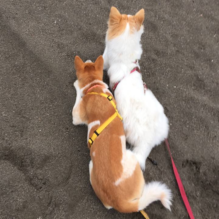 9583d6c3 cec2 4eb8 af2d bdcce993803d