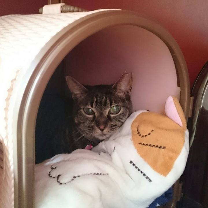 9583db07 3e59 4d55 bd55 df8636e6f561