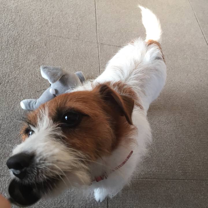 95848414 c55f 4b46 804d d84749a3797c