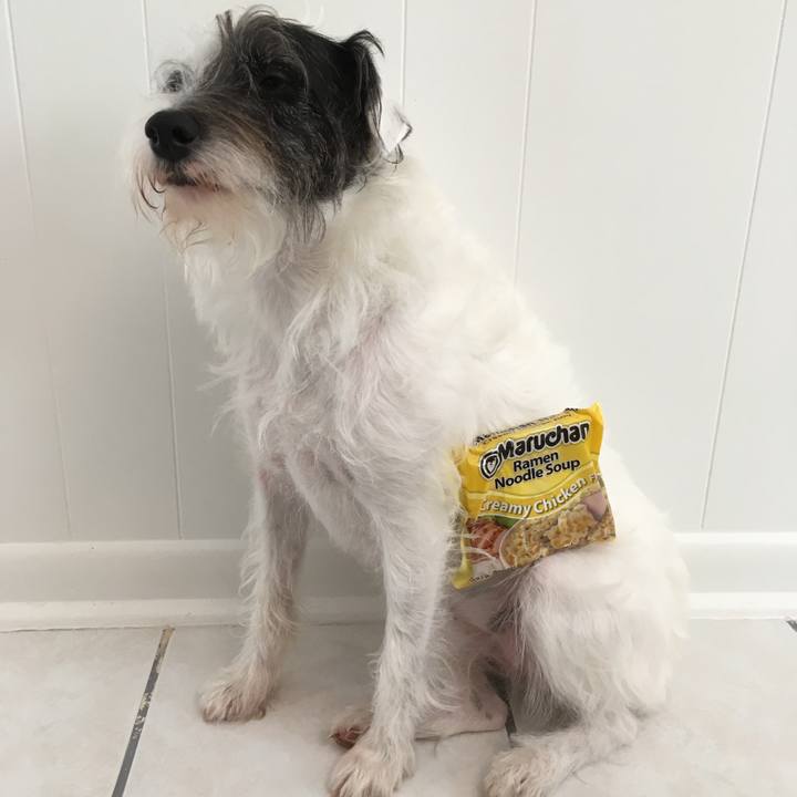 9584fcc7 8196 4a45 a724 21f7e6163e46