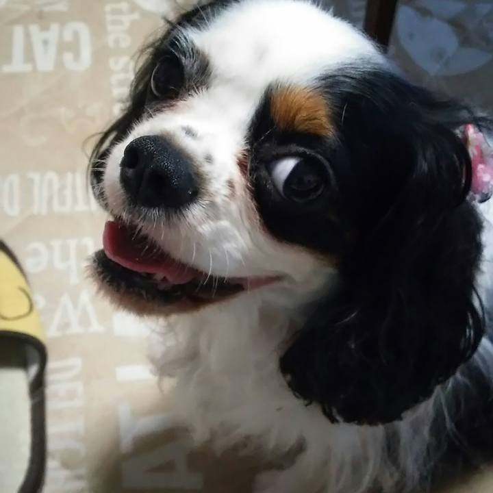 95859366 61d3 4a34 9626 50143d1c4965