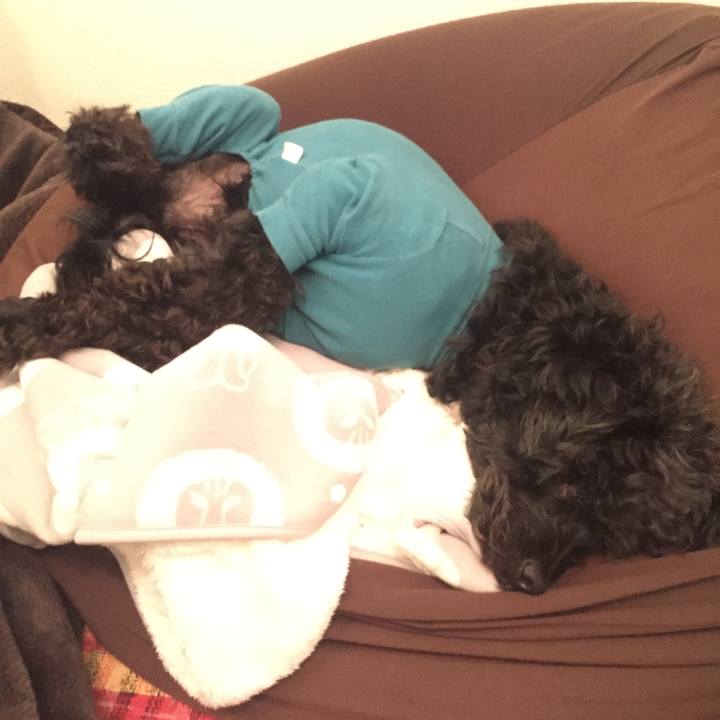 958595df 4a2e 47bf 87ff 2c3edf75816a