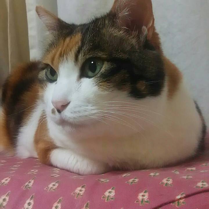 9585bc63 6c55 4f17 8185 7752331699d5