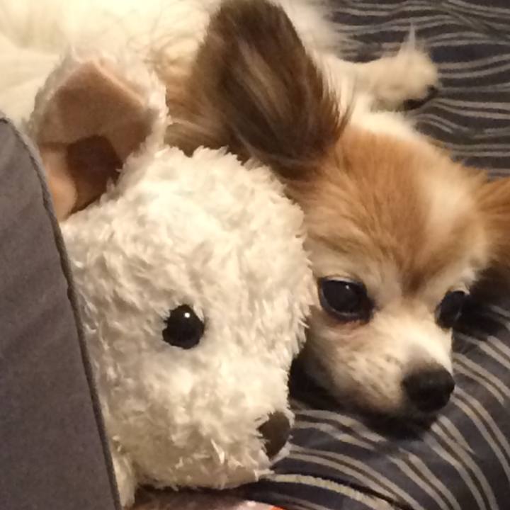 95864234 9305 4a36 ae49 f74b0607961d