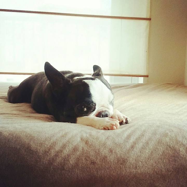 95865c02 381c 459f b5a0 a88f657f3097