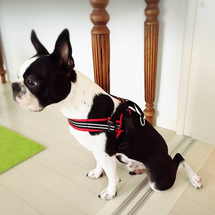 9586c044 7378 45a6 a7a8 5278cd36db60