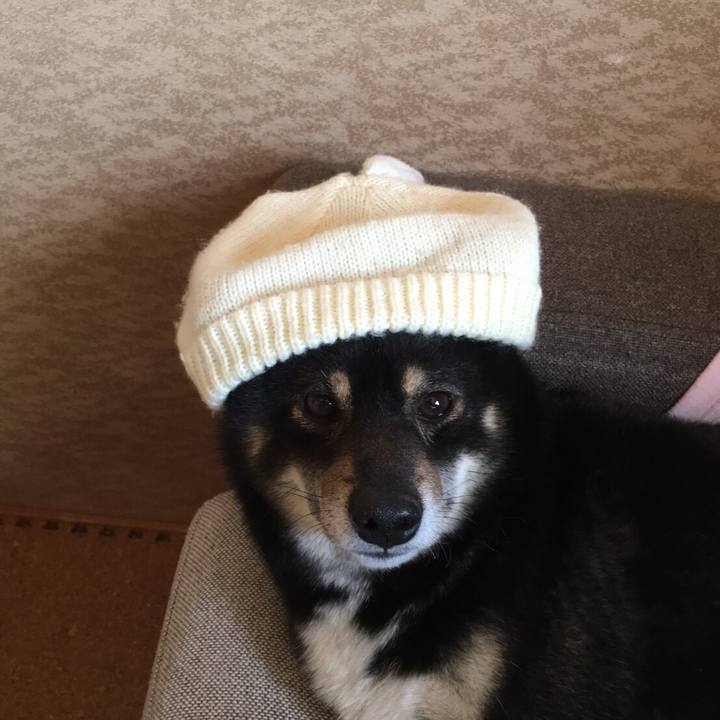 95871759 b36c 4763 b0c6 6588bec323d0