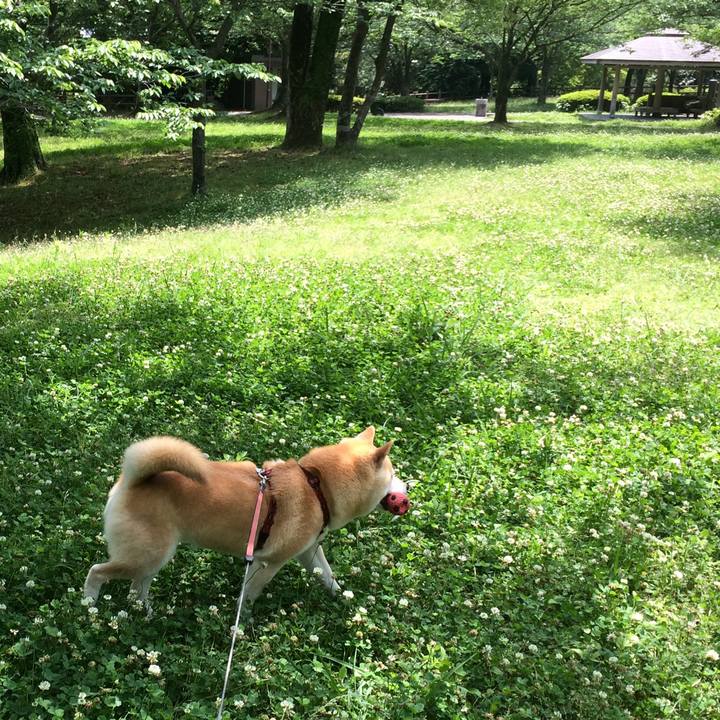 95873fb4 9995 408e b5d6 6e607e4879b3