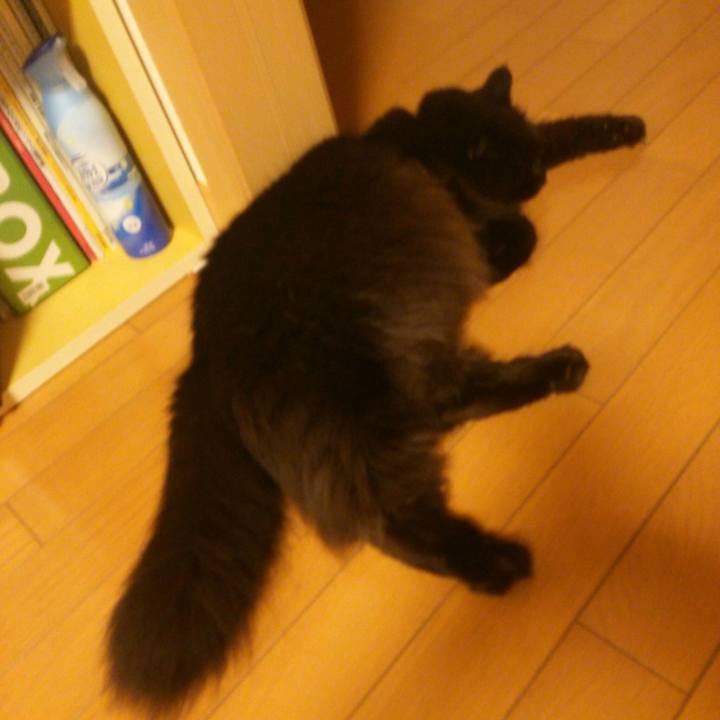 95874463 873d 43de 96c5 3ea82a240376