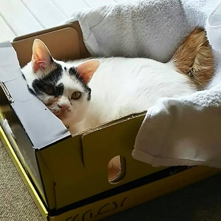 95877b20 be90 4ea4 9c5d d72ee62e9869