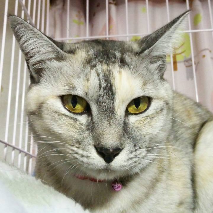 9587b957 fd36 4ff7 865f 470d80f803c0