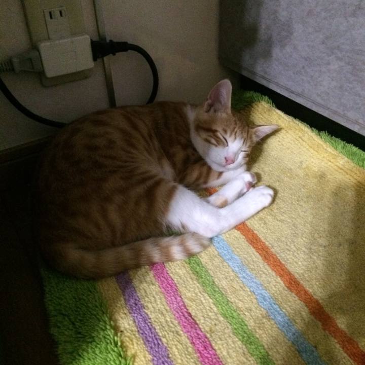 95881e5a 35ad 4594 bf51 756b6e5cbe4e