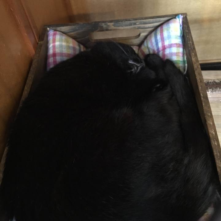 958827e6 2a34 40f3 992d 518725483032